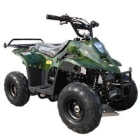 Tao Motor ATV with 6inch Wheel, Electric Start, Remote Shut Off Switch 110cc Gas ATV 110 Kids 12V Automatic Atv 125cc Quad Bike