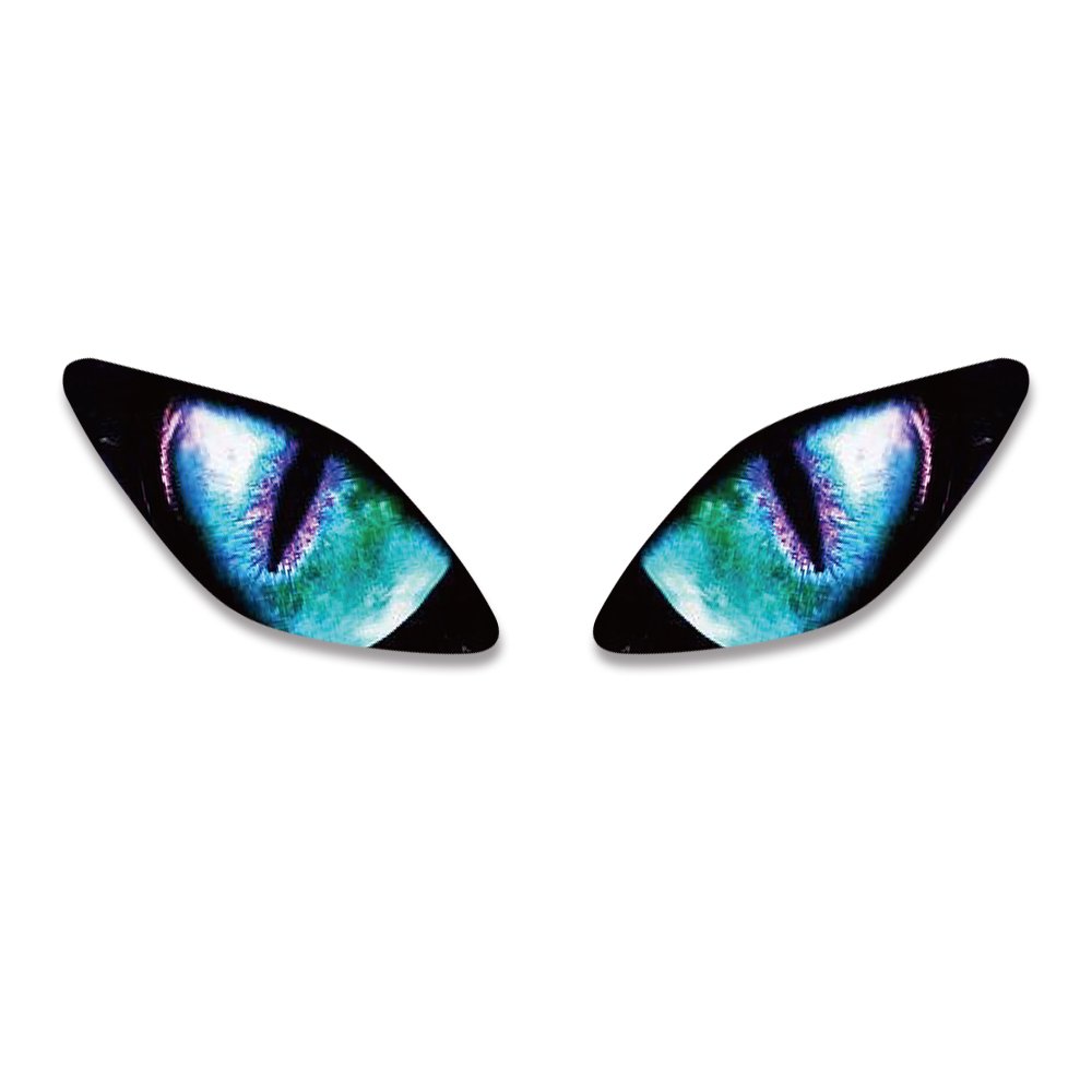 Motorcycle ATV Parts Decal Sticker Headlight Eye Graphics Kit Light Cover Decal Fit for Yamaha Raptor 660 2001-2005