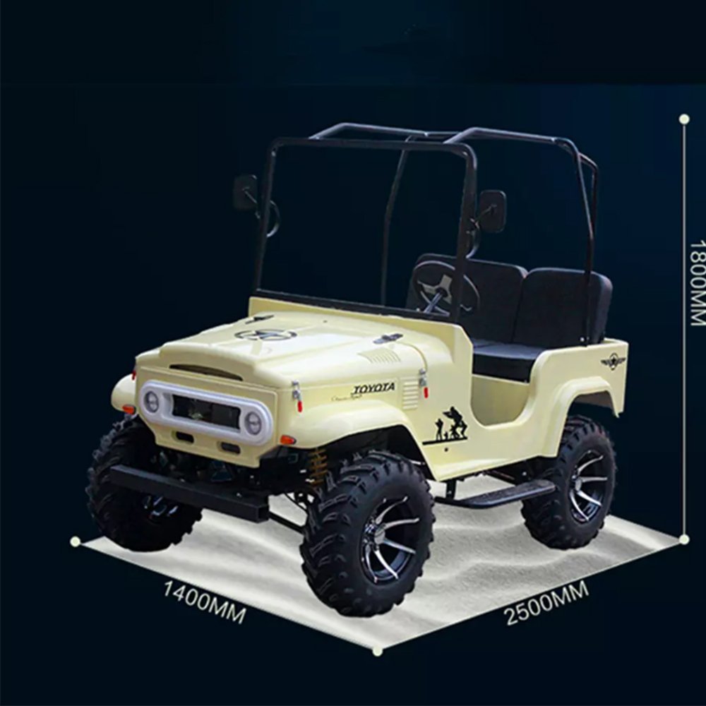 Popular High-quality Electric Mini Atv for Sale