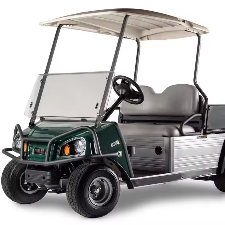 2024 Tong Cai New Electric Electrical Utility Vehicle Cargo Carrier Golf Cart for Sale