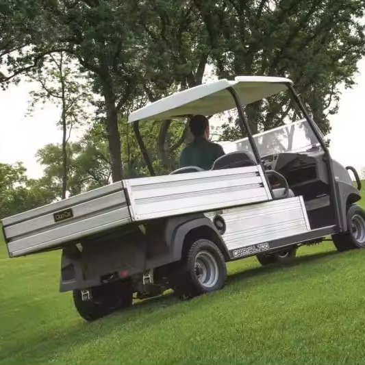 2024 Tong Cai New Electric Electrical Utility Vehicle Cargo Carrier Golf Cart for Sale