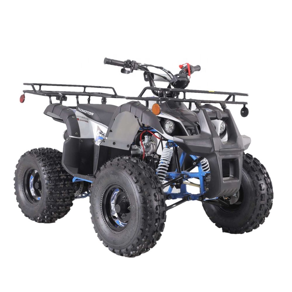 Tao Motor 110cc 125cc Customized Steel Tube Automatic Atv Utv Parts Accessories 150cc Atm Gearbox 150cc Engine 150cc Motorcycle