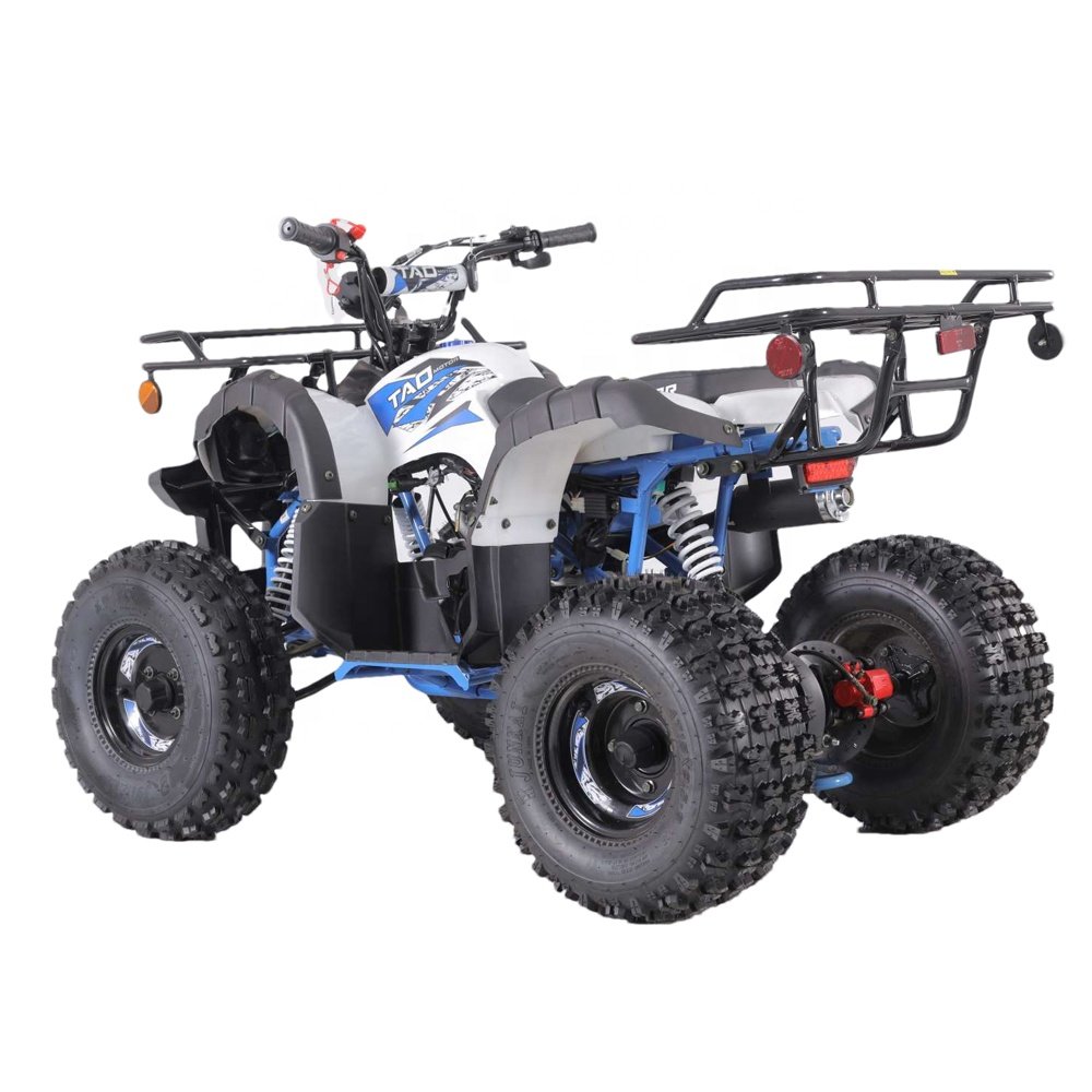 Tao Motor 110cc 125cc Customized Steel Tube Automatic Atv Utv Parts Accessories 150cc Atm Gearbox 150cc Engine 150cc Motorcycle