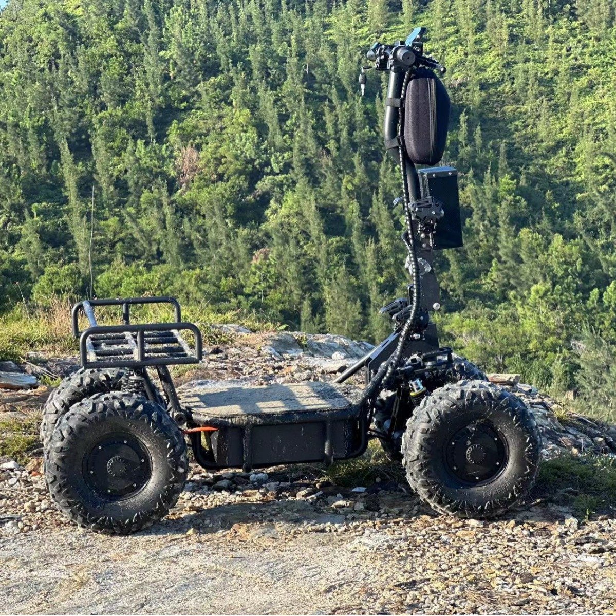 High-Power Electric 80km/h Four-Wheel Drive ATV Fast Charging 60V 52Ah Skateboard for Beach Off-Road All-Terrain Central Motor