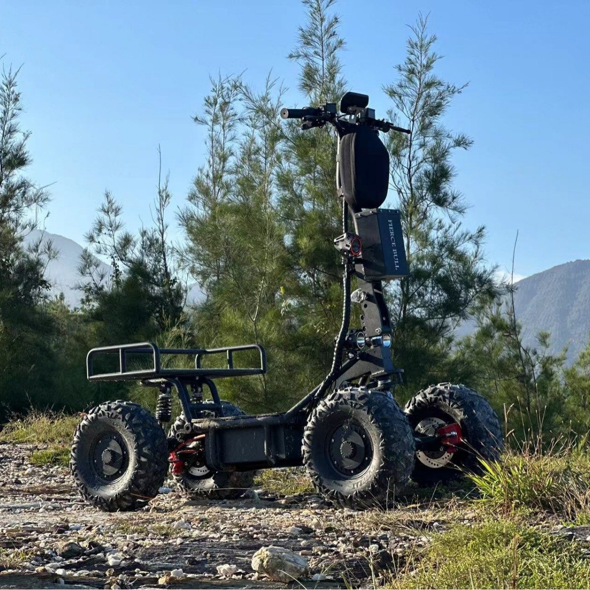 High-Power Electric 80km/h Four-Wheel Drive ATV Fast Charging 60V 52Ah Skateboard for Beach Off-Road All-Terrain Central Motor