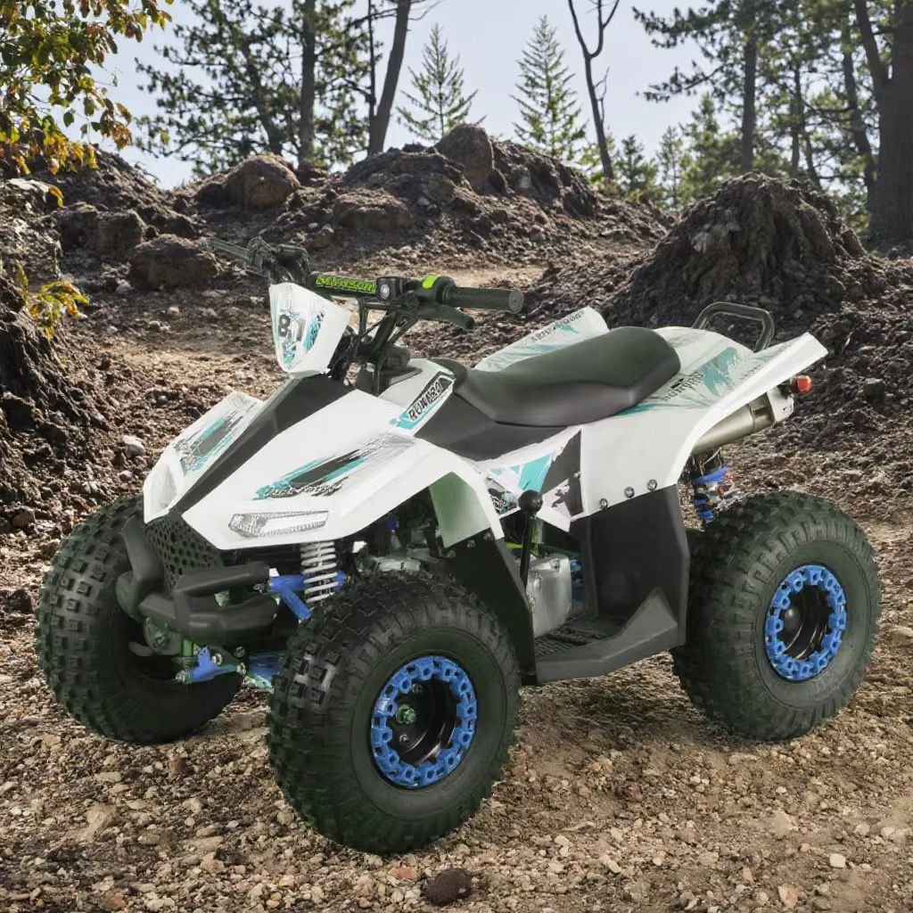 110cc 125cc Fast Enough Cheap ATV 4 Stroke ATV 4 Wheel ATV 4x4 Adult
