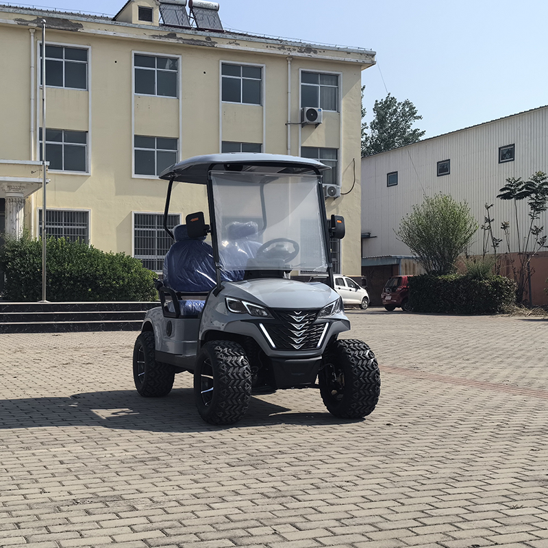Golf Car Electric Motor Golf Car Wheels Atv 2 4 6 Seater