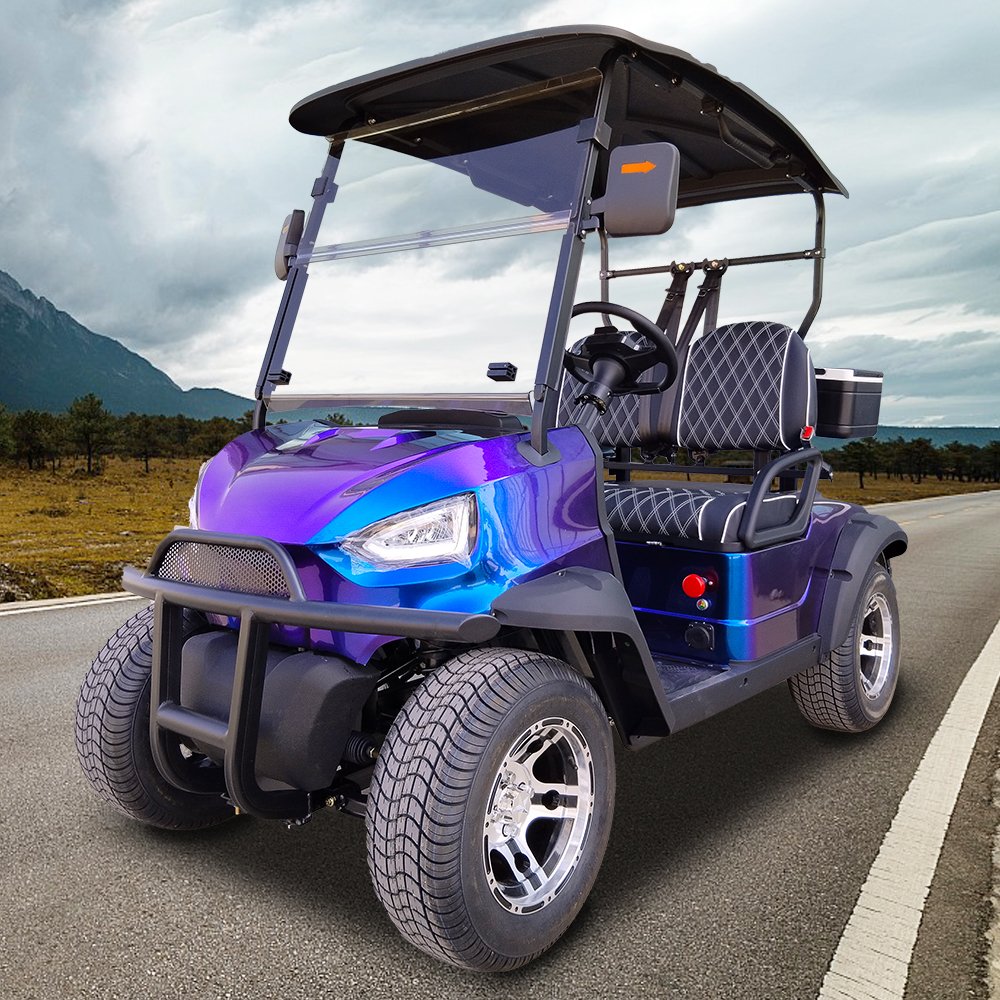 2024 New Designed Factory Electric Golf Cart Slingshot Atv/utv 2 / 4 / 6 Seater
