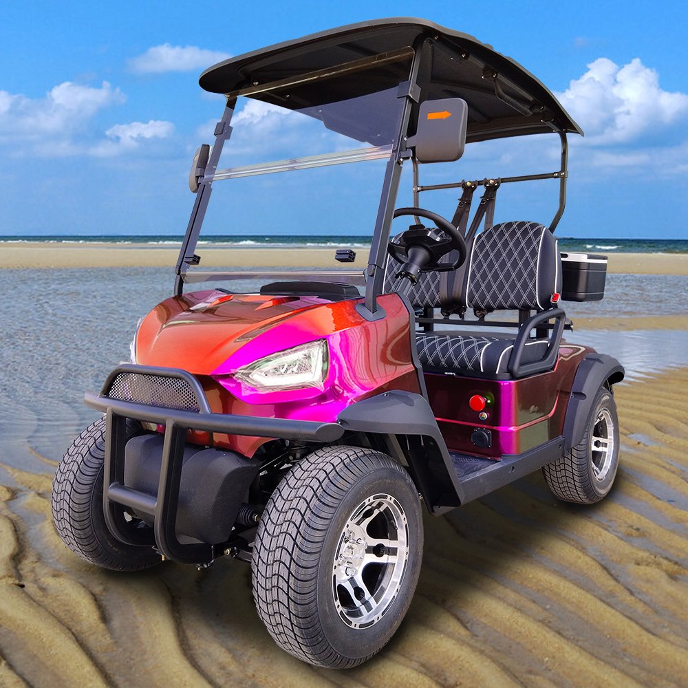 2024 New Designed Factory Electric Golf Cart Slingshot Atv/utv 2 / 4 / 6 Seater