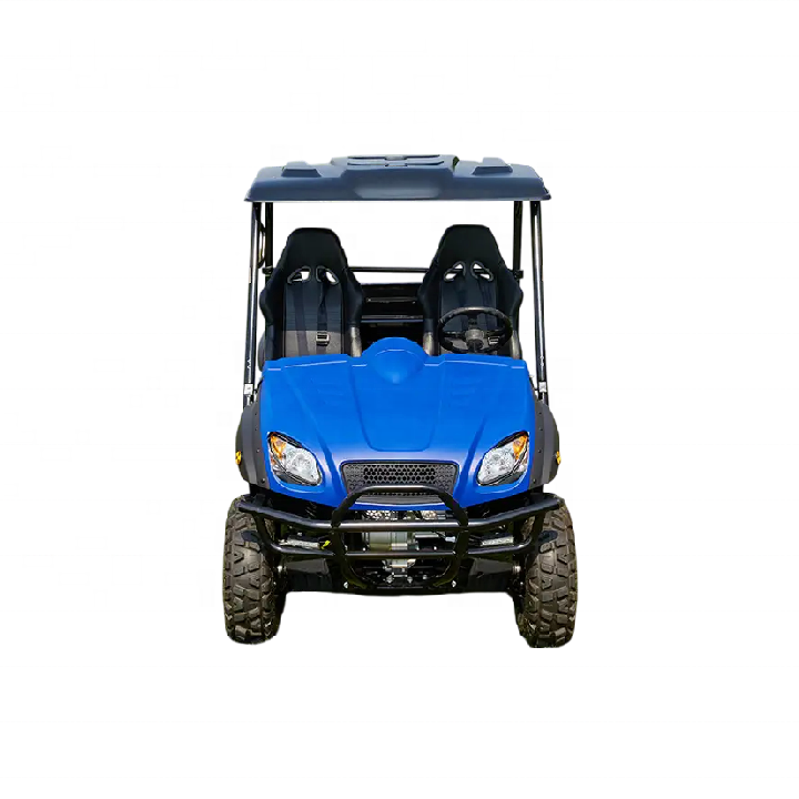electric 4WD UTV 2 passenger sand buggy hunting golf cart both lead acid battery and lithium battery available 72V