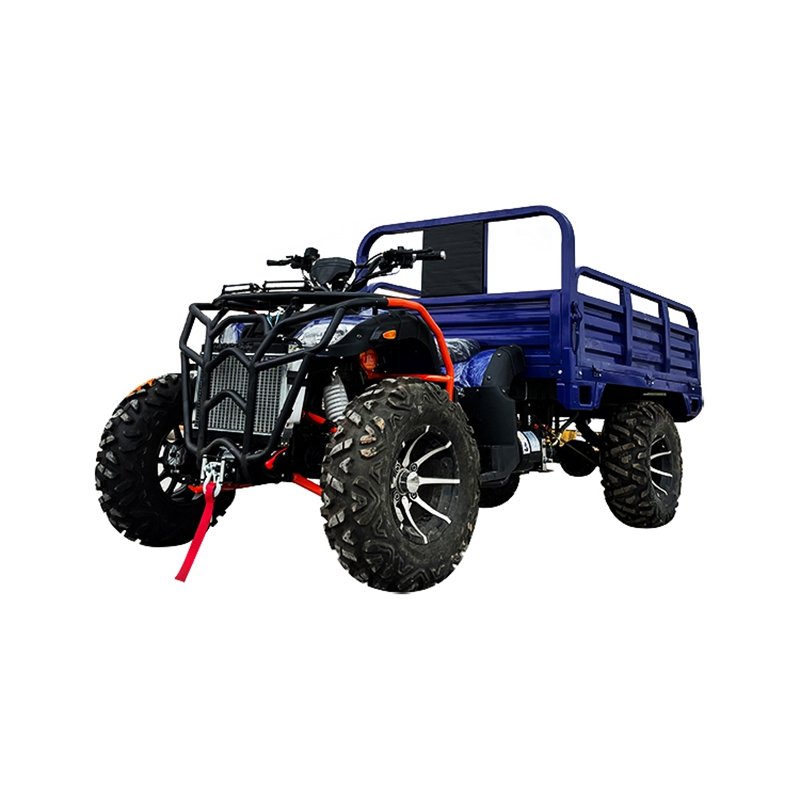 Adult Atv 4x4 Agriculture 250cc 350cc Cargo Farm Atv with Trailer