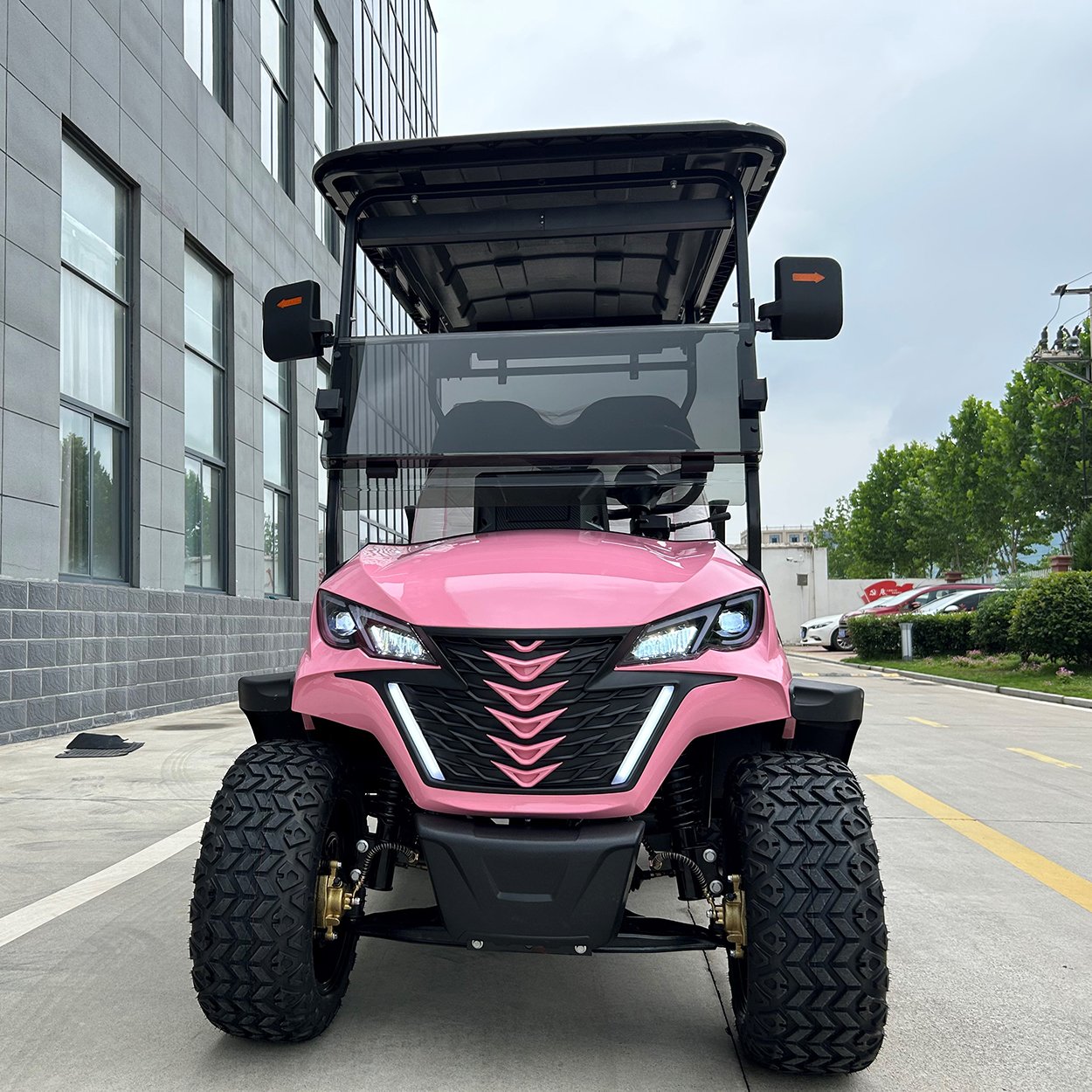 Pink 4 Seater For Sale Off Road 48v 4x4 Golf Carts Electric 72V With Lithium Battery