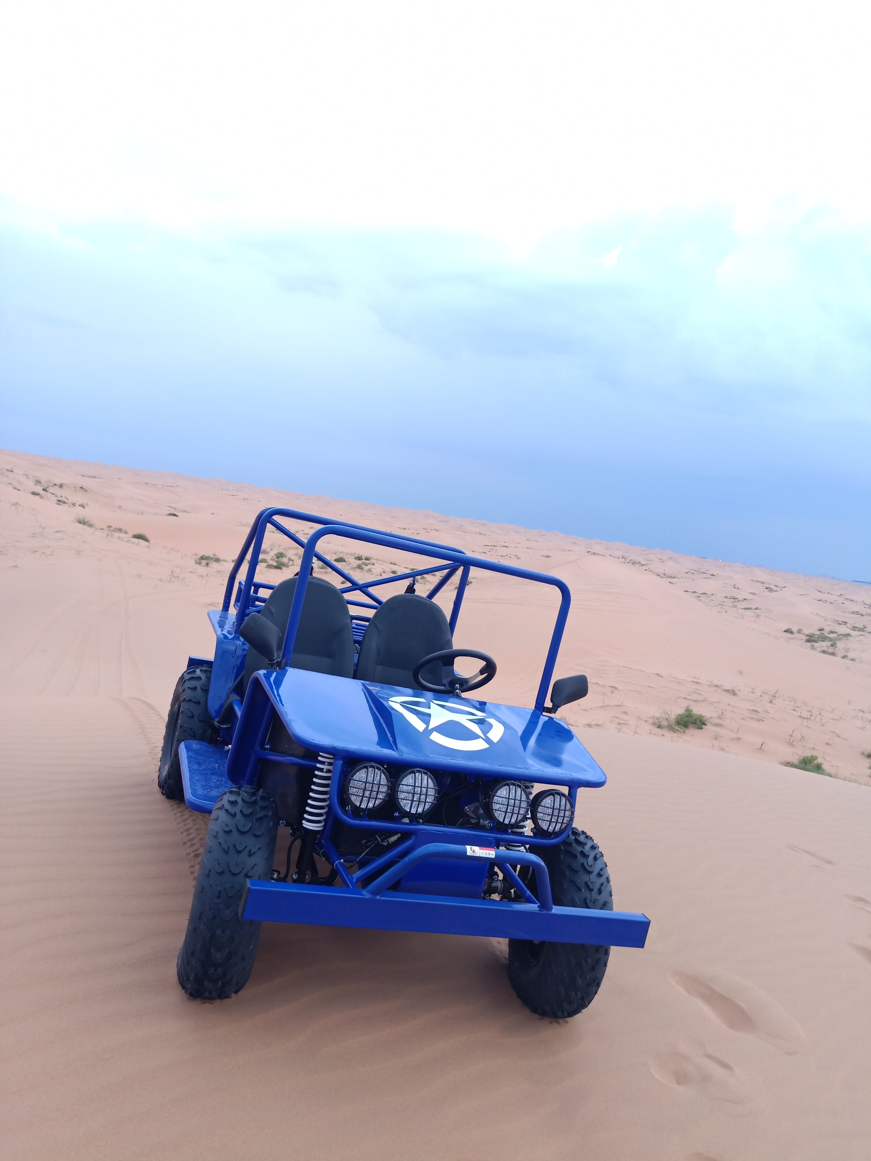 Motorcycle 200cc Gas Diesel Adult Mini Buggy Off Road Golf Cart