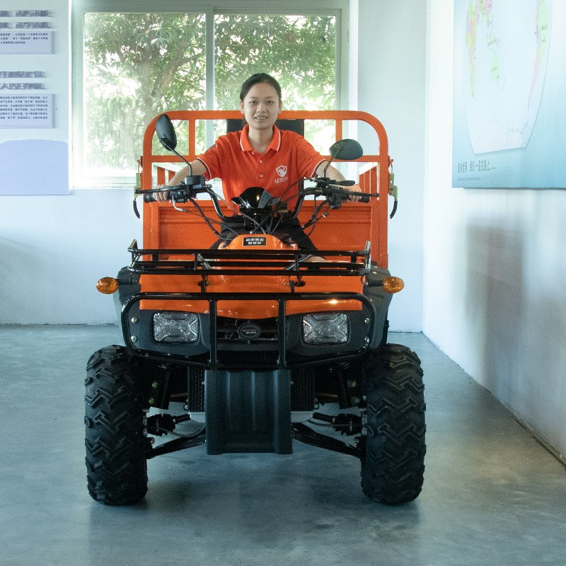 Electric 4x4 Farm Big Quad Bike 250cc 300cc Single Cylinder Off-Road Motorcycle for Adults Outdoor Adventure with Electric Start