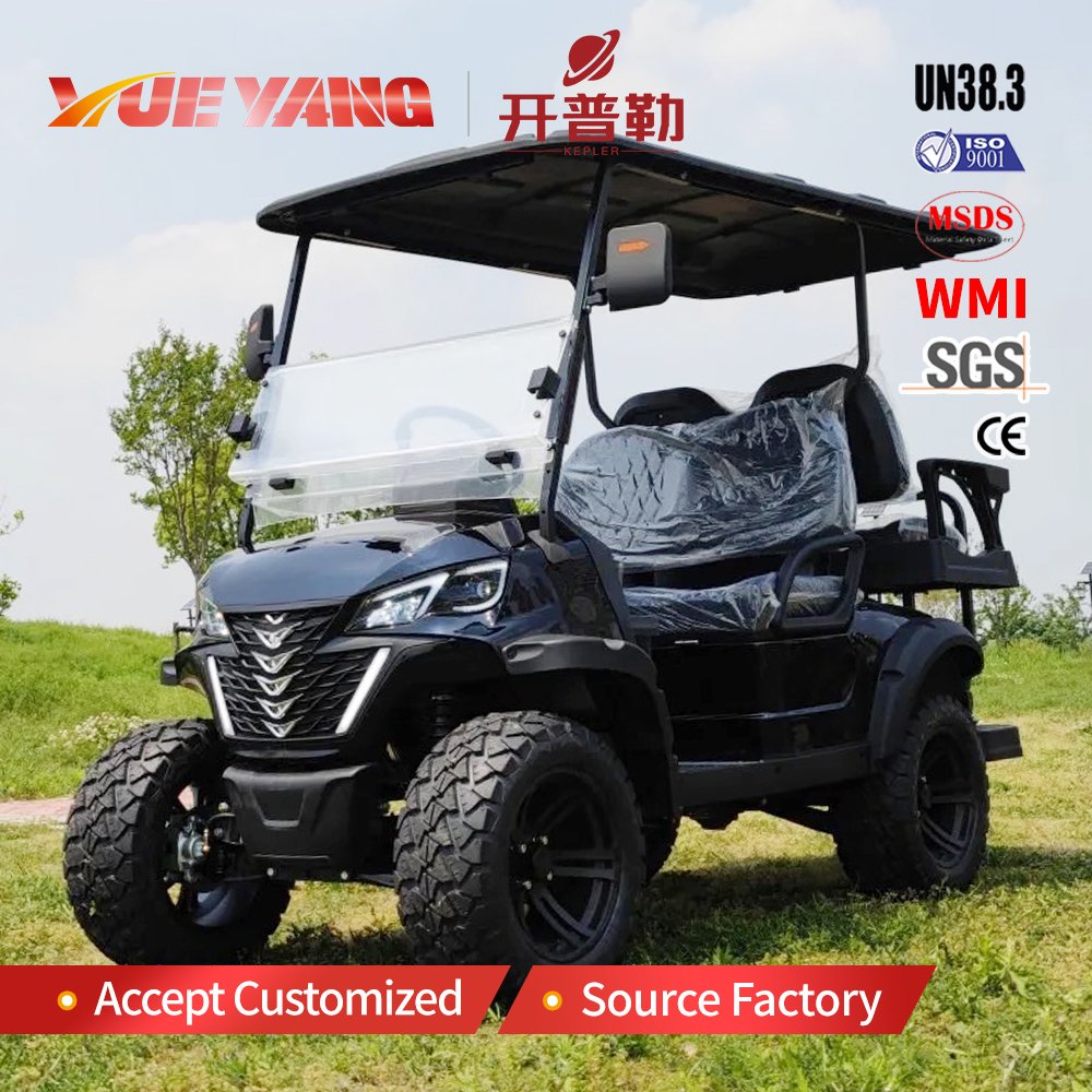 Wholesale High-End 4+2 Seat Electric Golf Cart with 5kw Motor Metal Buggy Compatible with Club Car for Hunting