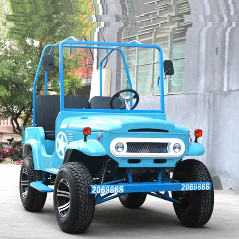 Popular High-quality Electric Mini ATV for Sale