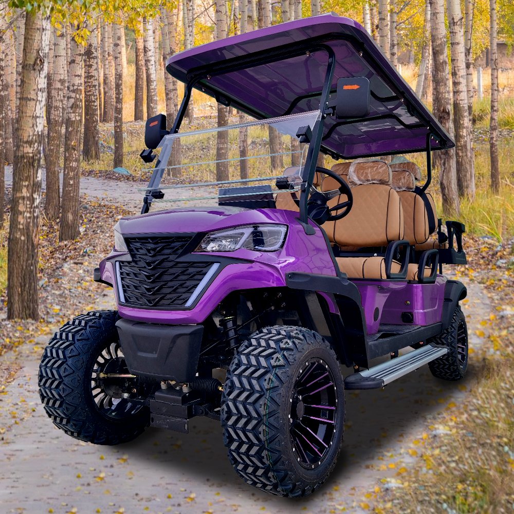 Custom Golf Buggy Hunting Cart Nimi Jeep 48V 72V 4x4 Lifted Offroad Off Road Electric Golf Cart