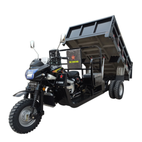 Wholesale Made in China Cheapest 150cc Engine Gasoline Cargo Tricycle Adult 3 Wheel Motorcycles