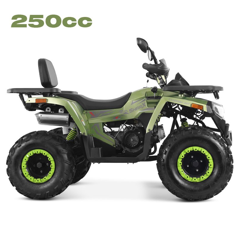 Tao Motor 2025 New Design Chain Drive 4x2 ATV 250cc Quad Bike Cheap Chinese Wholesale Cuatrimoto 250cc ATV