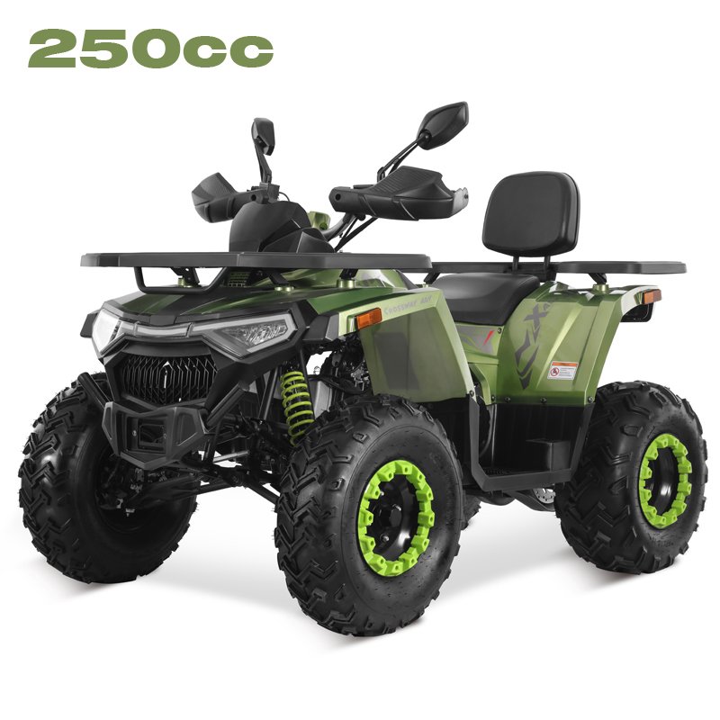 Tao Motor 2025 New Design Chain Drive 4x2 ATV 250cc Quad Bike Cheap Chinese Wholesale Cuatrimoto 250cc ATV