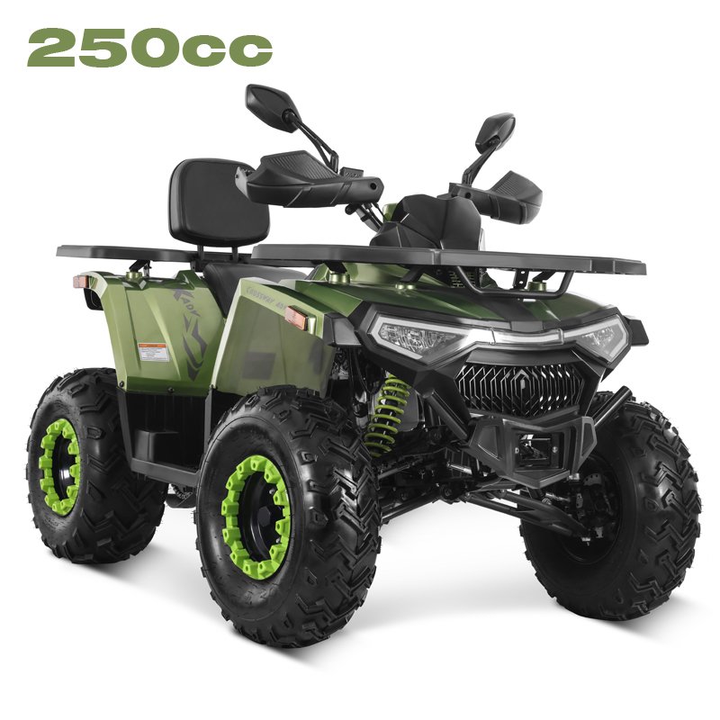 Tao Motor 2025 New Design Chain Drive 4x2 ATV 250cc Quad Bike Cheap Chinese Wholesale Cuatrimoto 250cc ATV