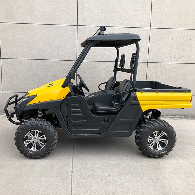 4seat/2seat 4*4 800CC All-terrain Vehicle/Utility Vehicle