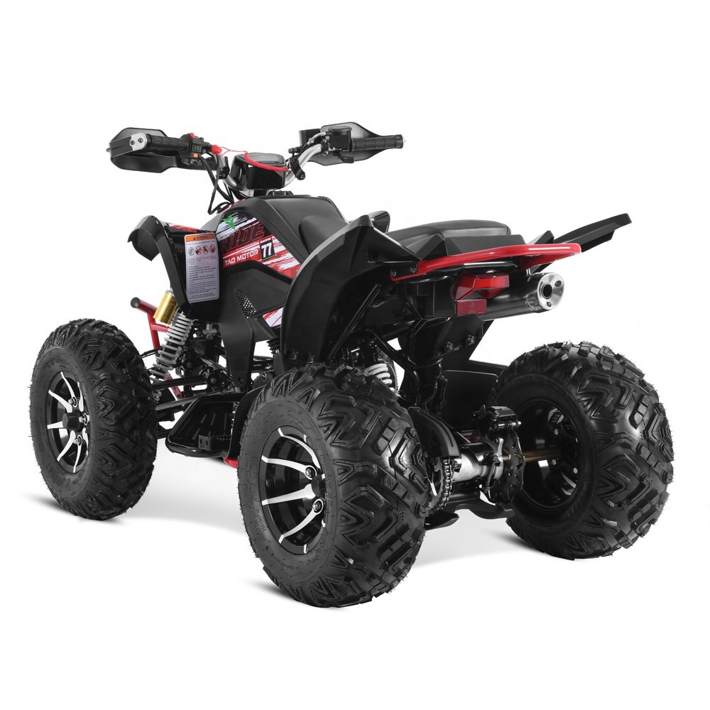 Tao Motor 2024 New ATV 250cc 4x4 Cuatrimoto