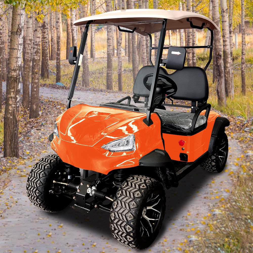 2024 Gas or Electricpower Golf Carts 4 Wheel 2 Seats off Road Vehicle 48v Tourist Car 500cc Aodes Atv