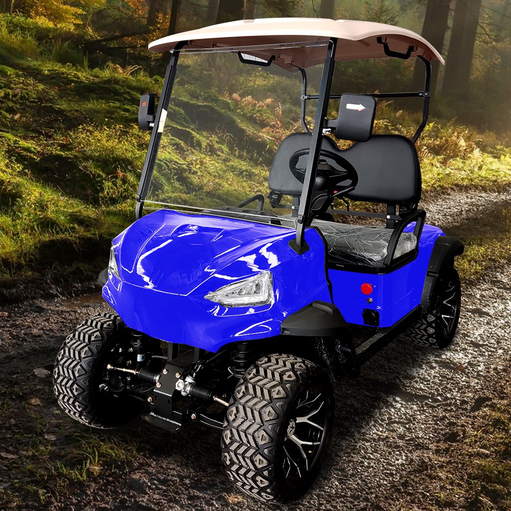 2024 Gas or Electricpower Golf Carts 4 Wheel 2 Seats off Road Vehicle 48v Tourist Car 500cc Aodes Atv