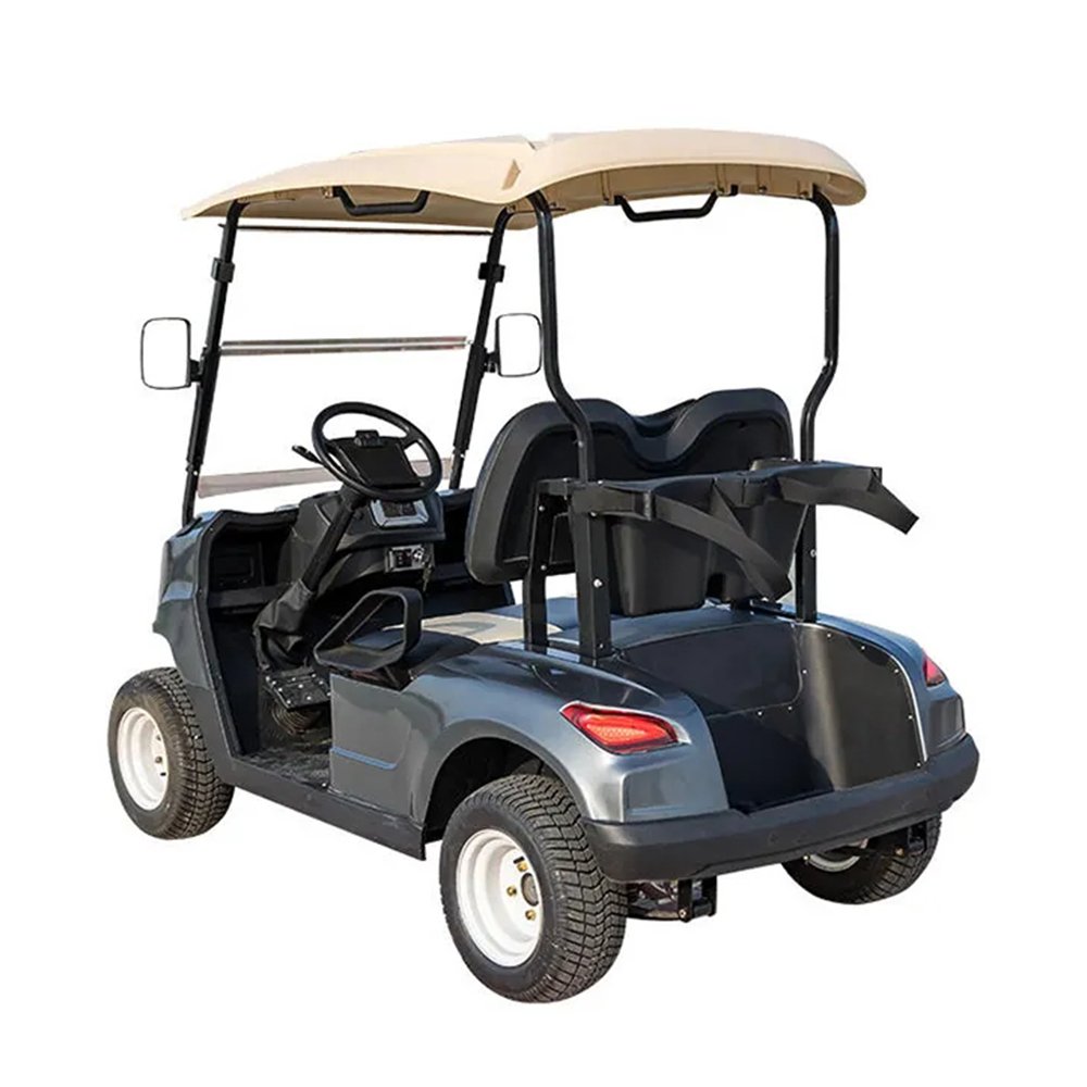 2024 Gas or Electricpower Golf Carts 4 Wheel 2 Seats off Road Vehicle 48v Tourist Car 500cc Aodes Atv