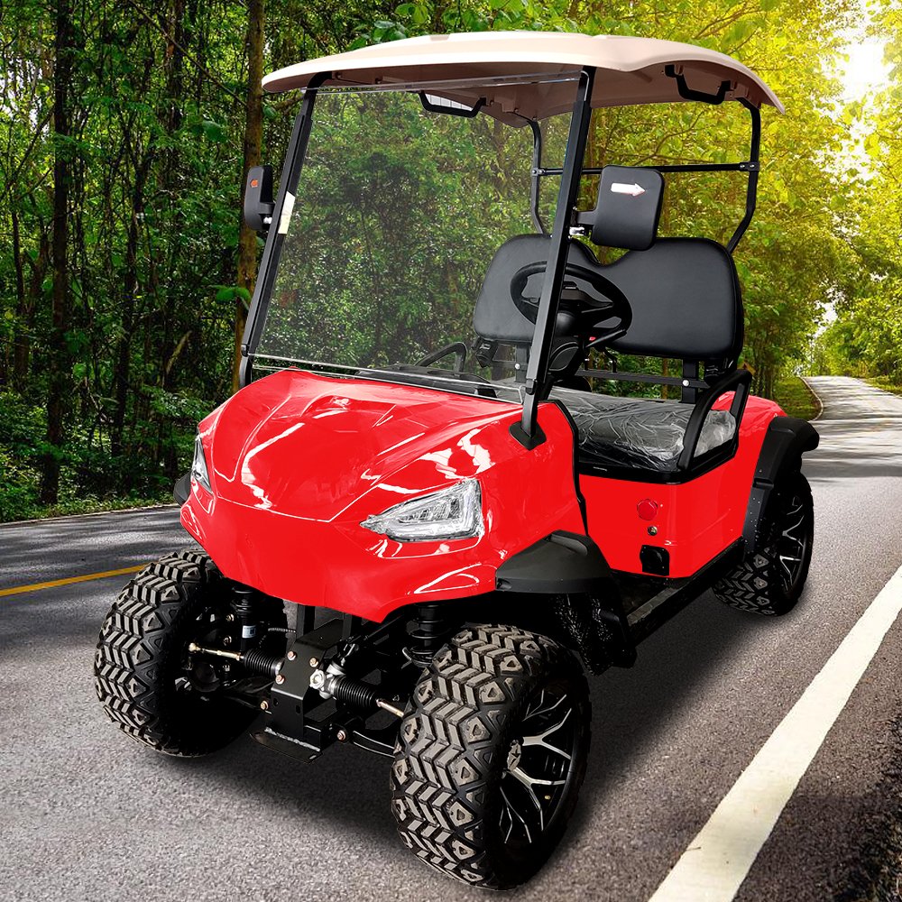 2024 Gas or Electricpower Golf Carts 4 Wheel 2 Seats off Road Vehicle 48v Tourist Car 500cc Aodes Atv