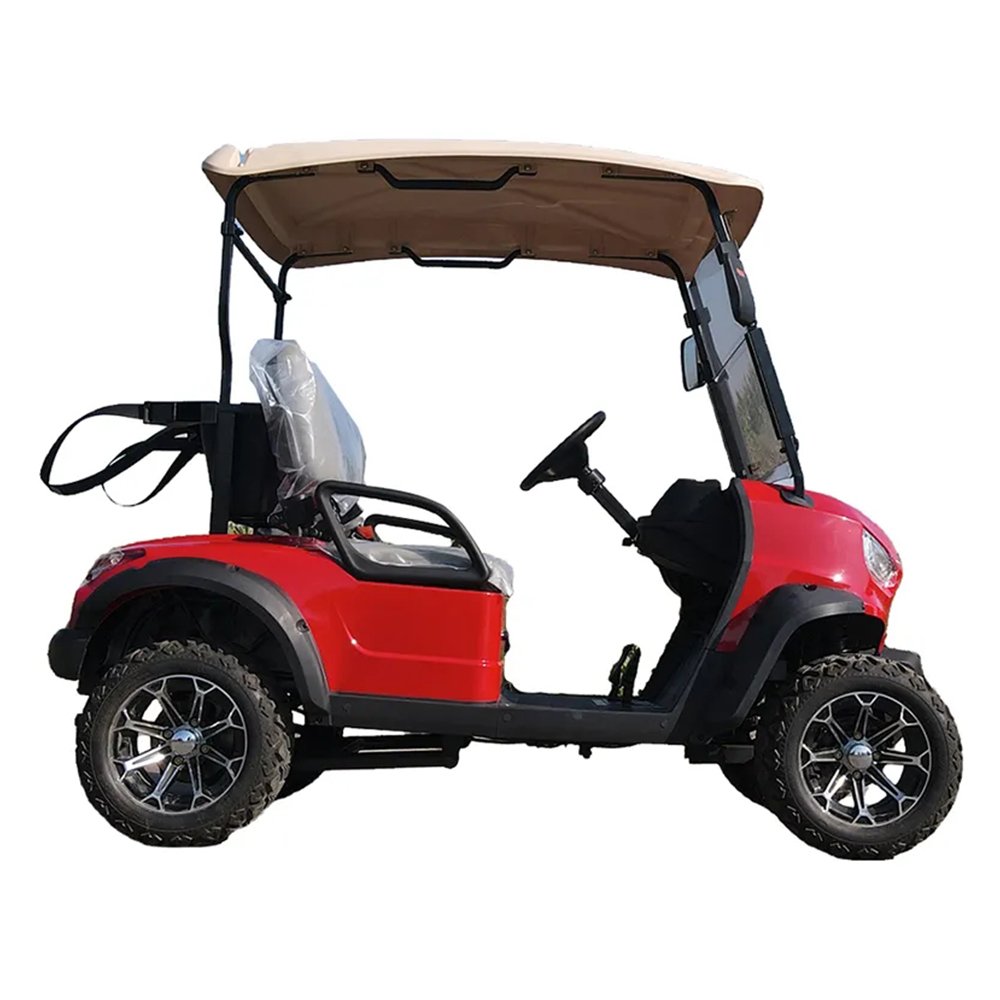 2024 Gas or Electricpower Golf Carts 4 Wheel 2 Seats off Road Vehicle 48v Golf Cart Motor Kit Atv 3000w