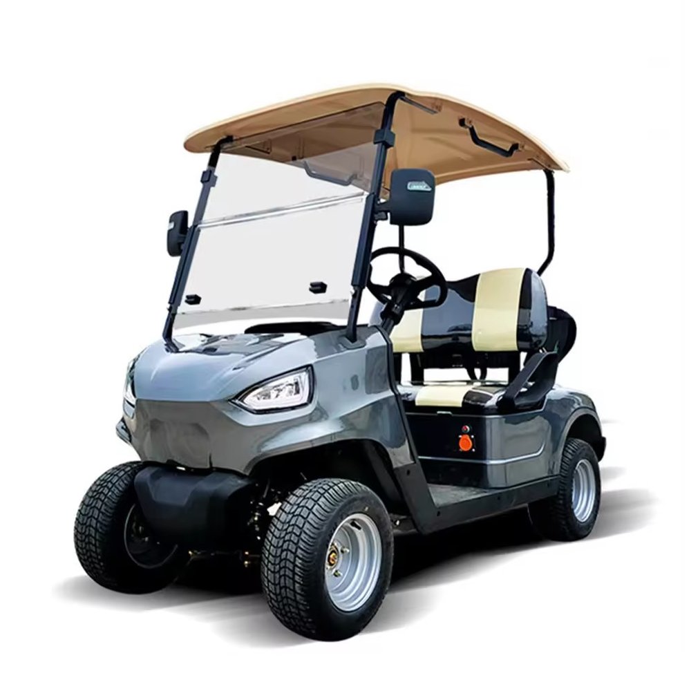 2024 Gas or Electricpower Golf Carts 4 Wheel 2 Seats off Road Vehicle 48v Golf Cart Motor Kit Atv 3000w