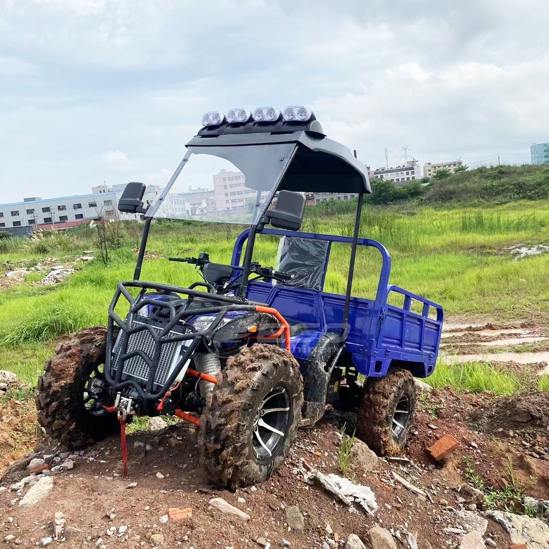 Large Adult Four-wheeled Two-seater Outdoor All-terrain Off-road Mountain Go-kart Dune Buggy Karting ATV/UTV Truck Car