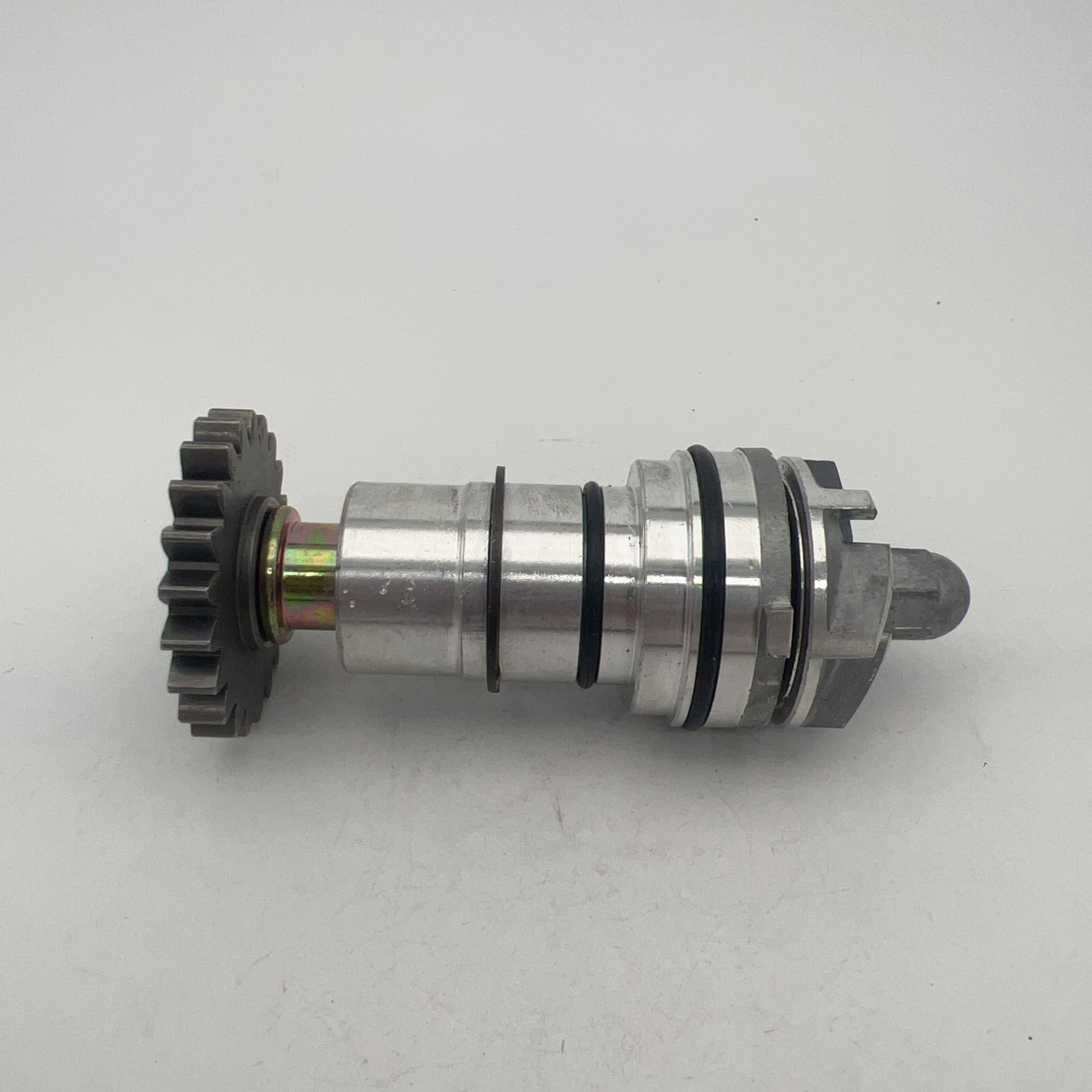 Water Pump Assy Replace for CG200 Loncin 200cc 250cc ATV Quad Wasserpumpen