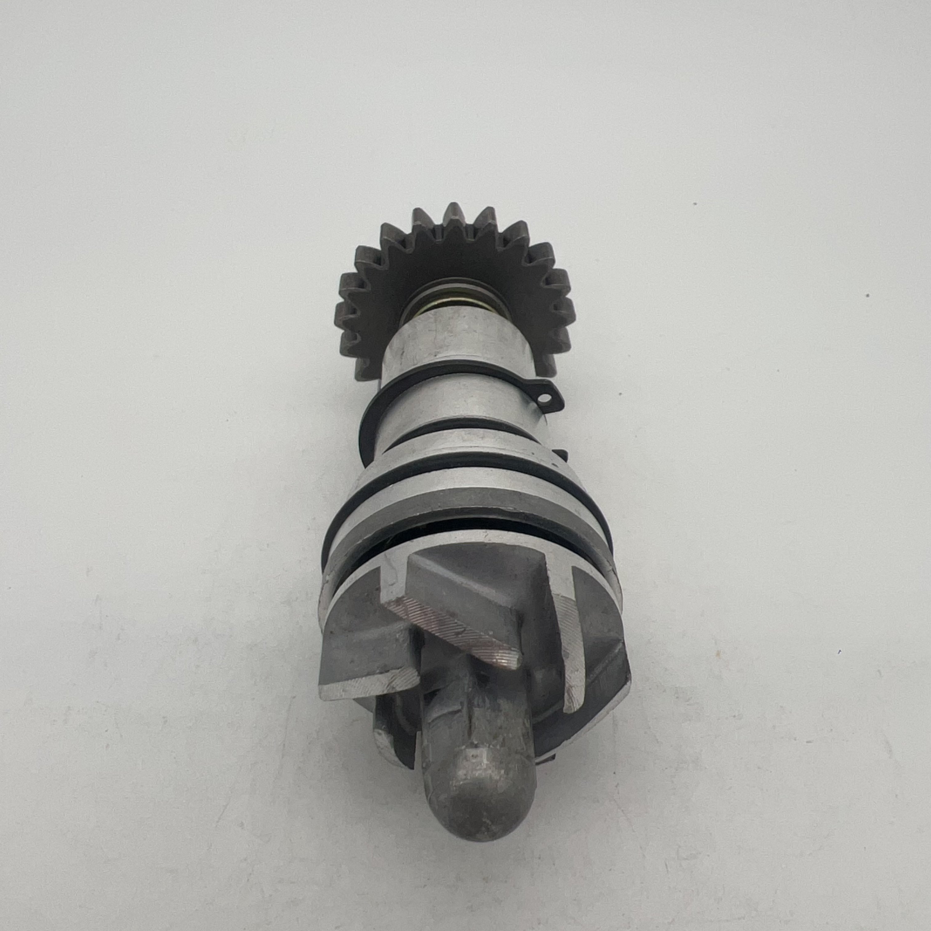 Water Pump Assy Replace for CG200 Loncin 200cc 250cc ATV Quad Wasserpumpen