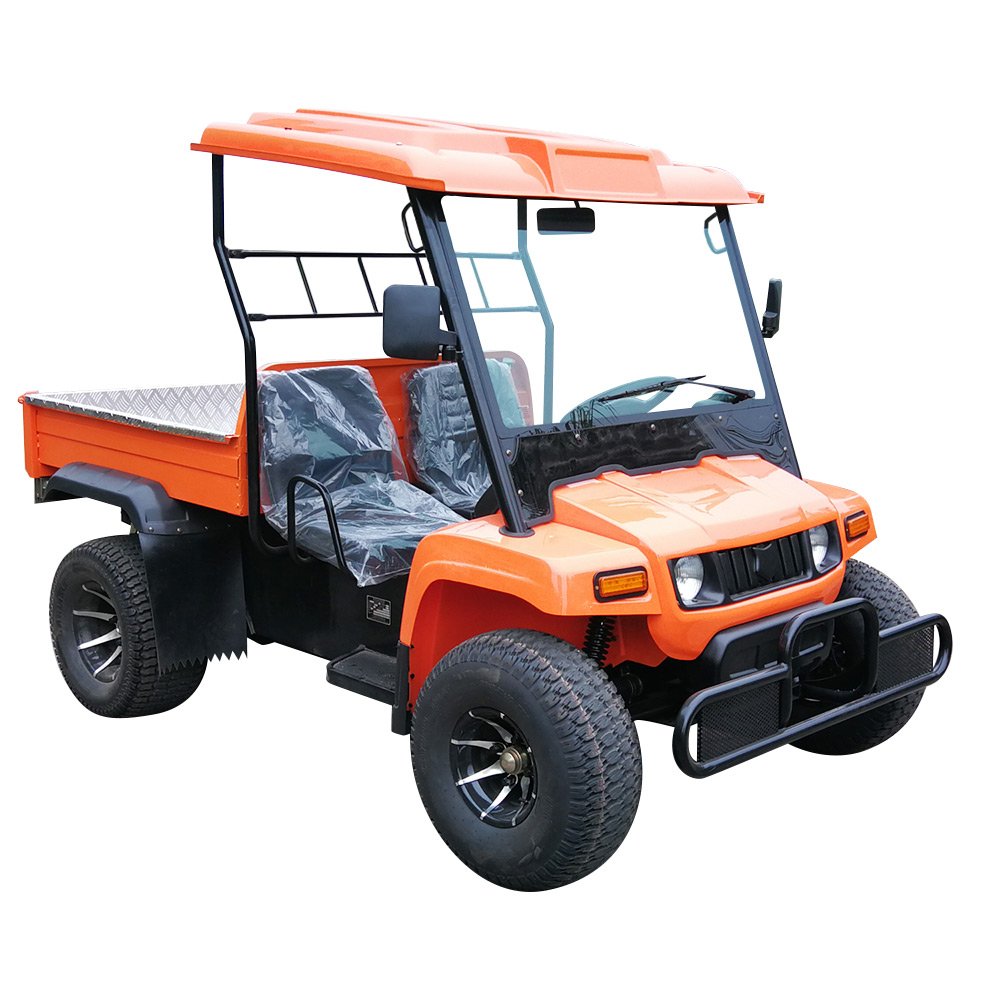 Adult on Road Atvs 4 Wheelers Side by Side Electirct Adult UTV 4x4