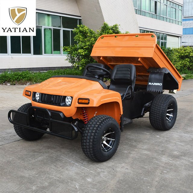 Adult on Road Atvs 4 Wheelers Side by Side Electirct Adult UTV 4x4