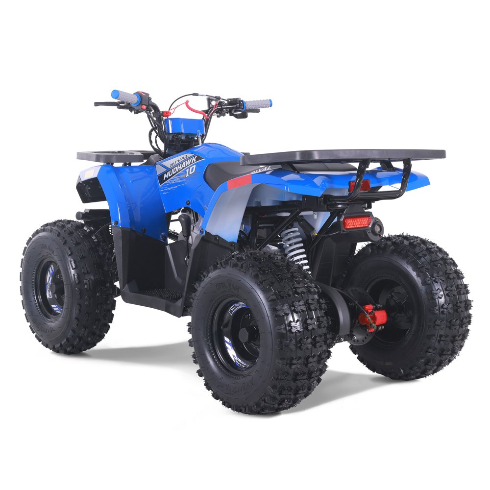Tao Motor 2024 New Cheap Farm ATV Automatic Chain DriveQuad Kids 110cc ATV