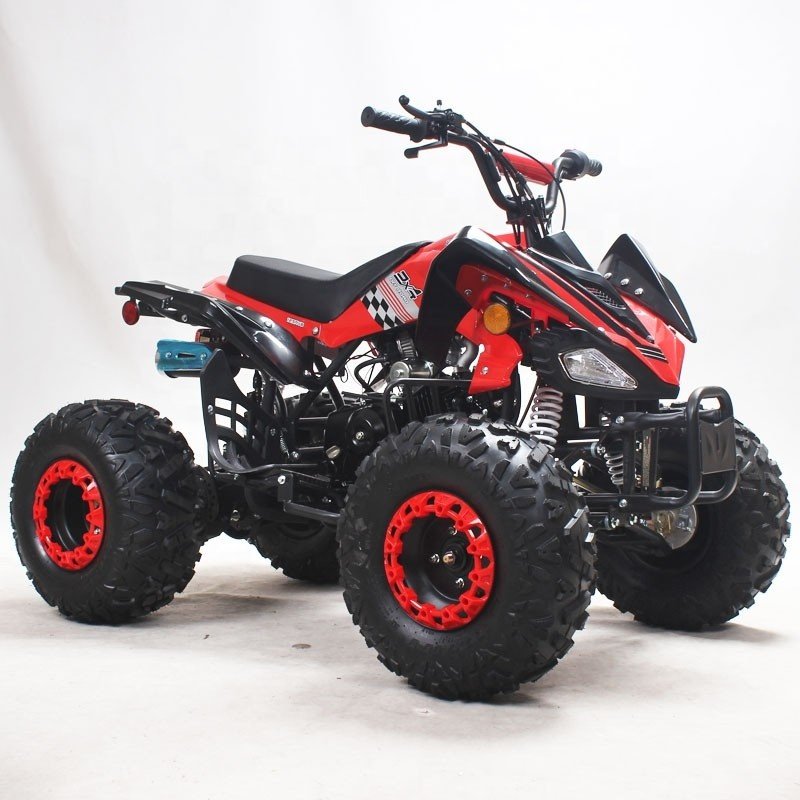 Wheeled Motorcycle Racing Chain Drive Automatic Four-wheeler Motor Bike for Kids Tao Motor Farm ATV 110cc 4 125cc Quad Bike 2WD
