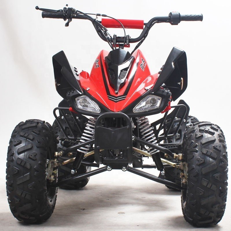 Wheeled Motorcycle Racing Chain Drive Automatic Four-wheeler Motor Bike for Kids Tao Motor Farm ATV 110cc 4 125cc Quad Bike 2WD