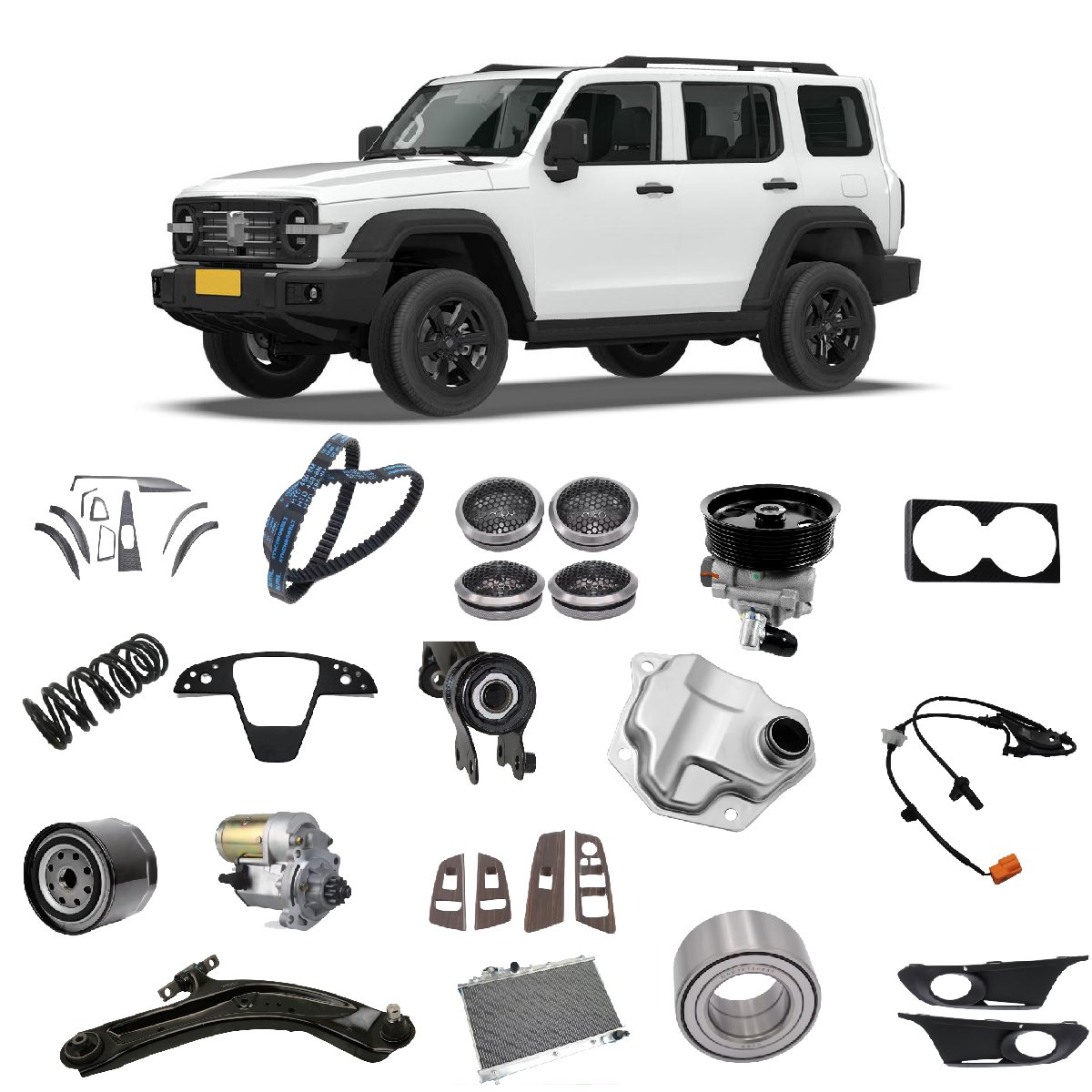 Vehicle Accessories Tank 300 AccessoriesTail Mirror Cover Door Handle Bowl Handle Cover Other Parts for Sale