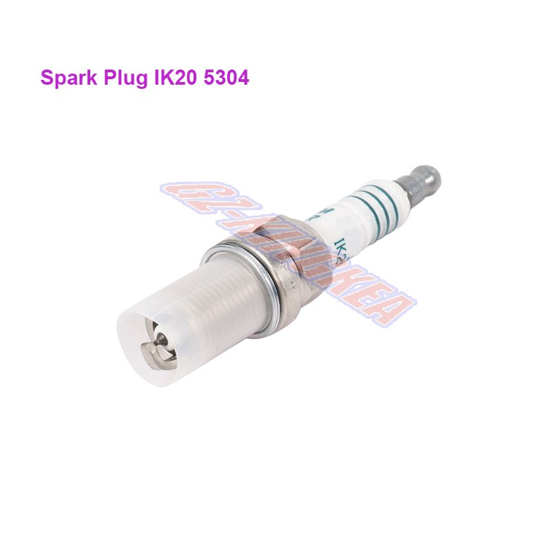 OEM Spark Plug IK20 5304 Auto Parts Gold Wing for GL GL 1800 OEM Car Cg 125 Motorcycle Spark Plug Parts for Renault Laguna 2