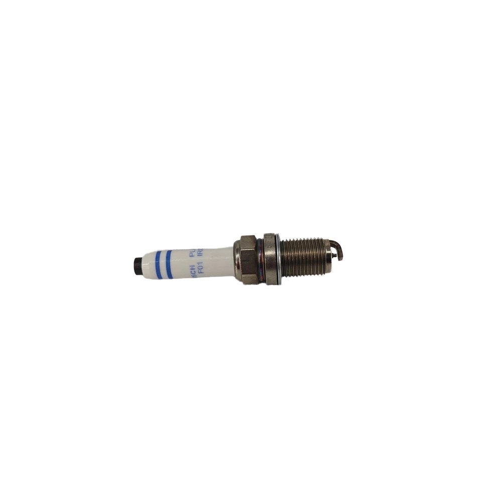 The High Quality Auto Parts Auto Engine Spare Parts Spark Plugs C5557905