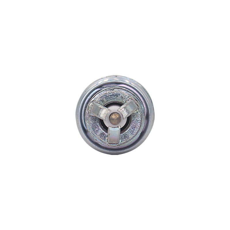 Spark Plug For VW 101000033AA BKUR6ET10 BKUR6ET-10 2397