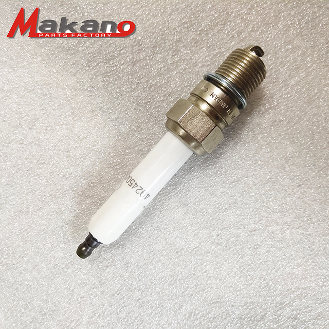 Factory Outlet Gas Generator Industrial Spark Plug 4924504 for Generator