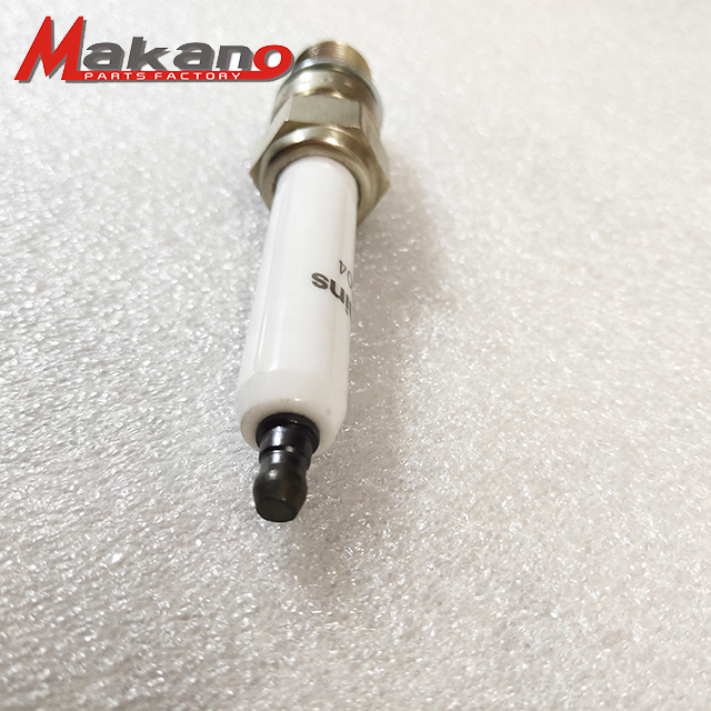 Factory Outlet Gas Generator Industrial Spark Plug 4924504 for Generator