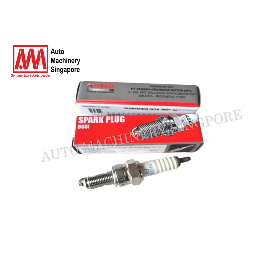 Plug Spark (NGK R CPR8EA9)
