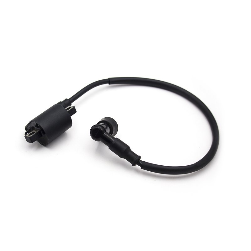 CGL Motorcycle High Voltage Spark Plug Ignition Coil For CGL Motorcycle
