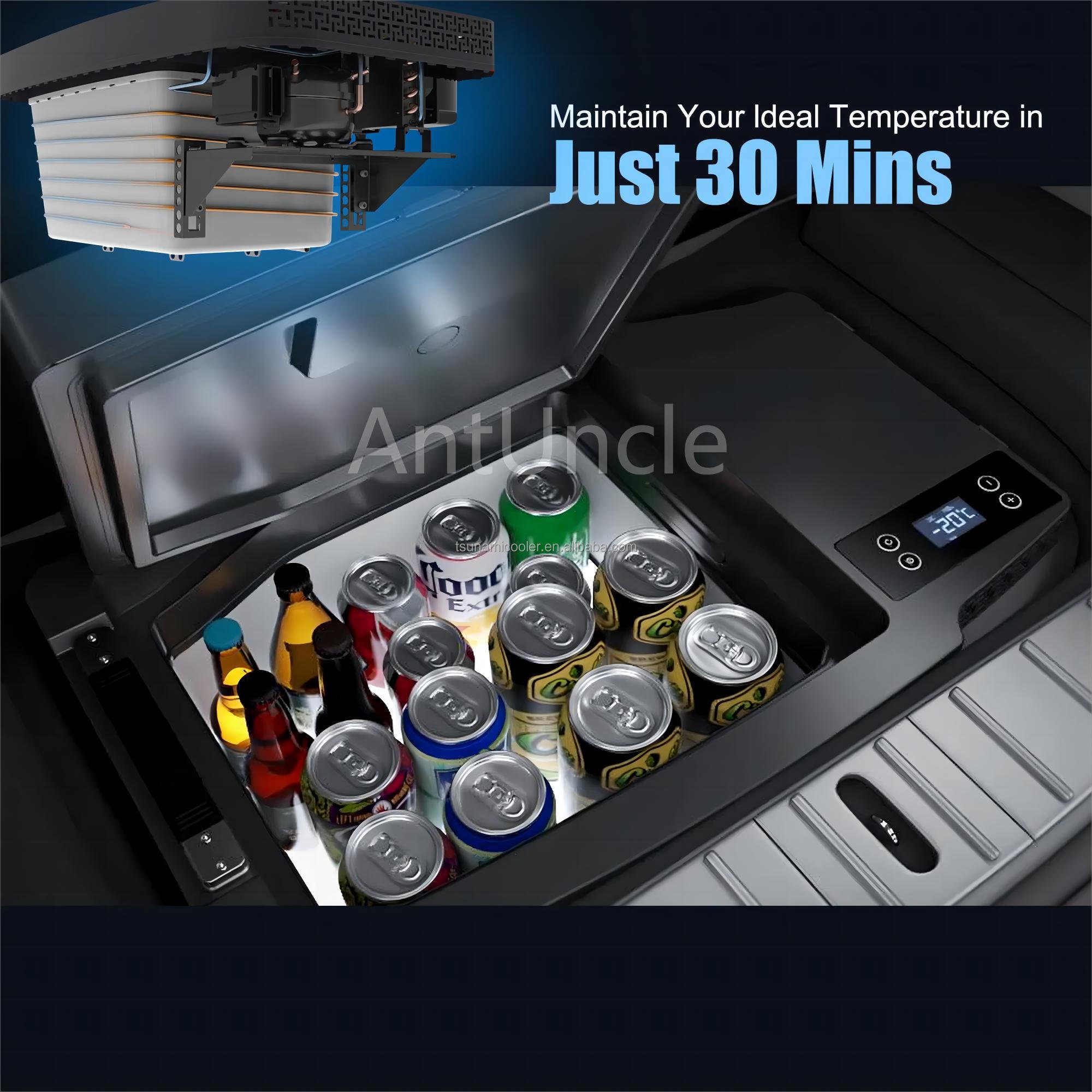 Custom Design 20L 12V/24V Mini Car Fridge with Cooling and Warming for Tesla Car Fridge 3XY Armrest Refrigerator